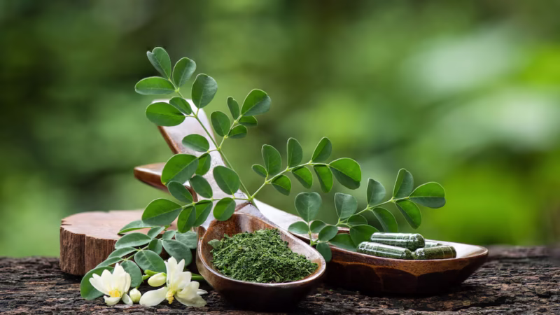 Esta planta es ideal para desintoxicar el hígado e intestino, pero pocos saben cómo usarla de manera correcta