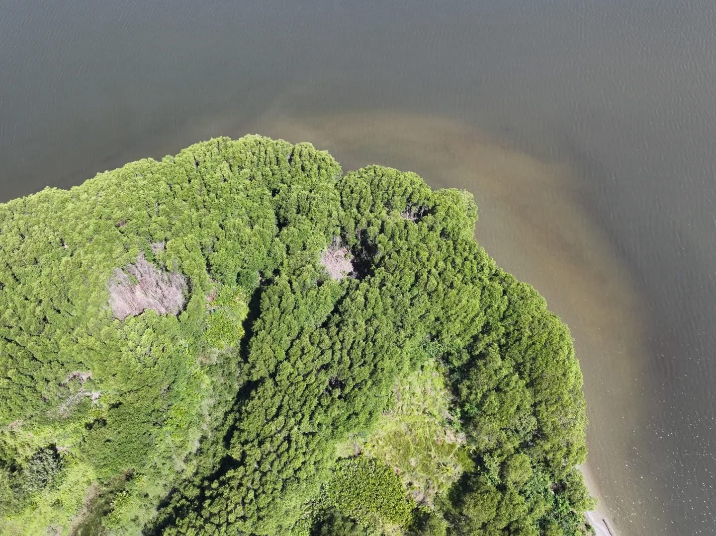 Inspección revela graves daños en Parque Nacional Jeannette Kawas