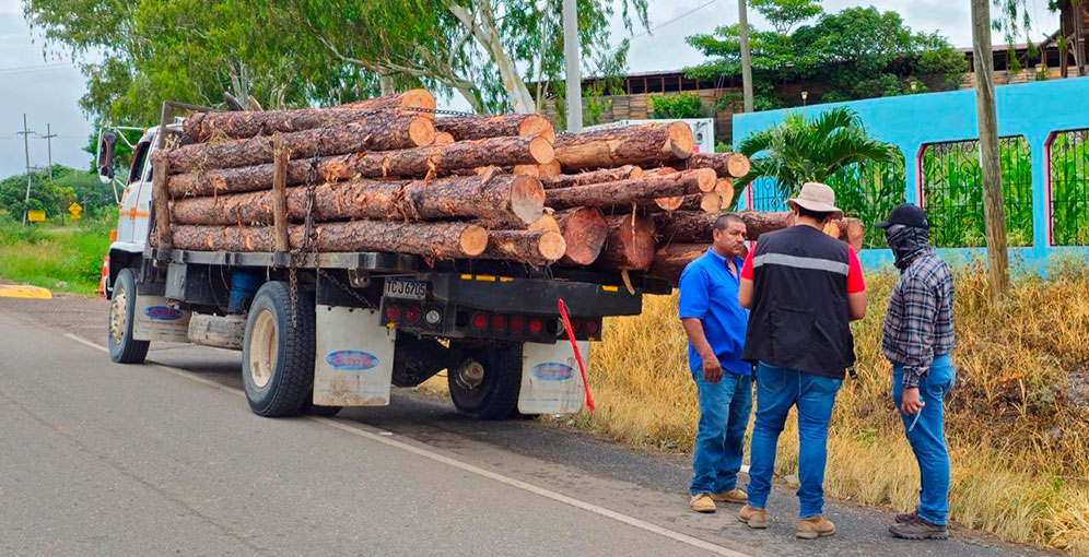 Más de mil intervenciones para frenar deforestación y proteger la biodiversidad