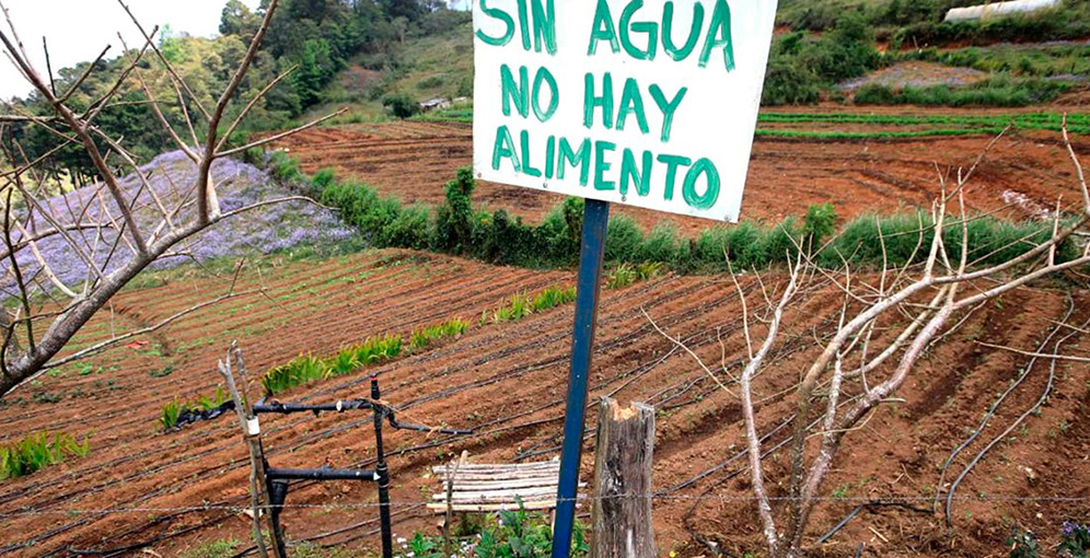 Productores en alerta ante retraso del invierno y riesgo de pérdidas en siembras tempranas