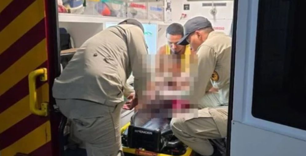 Niña de 2 años hospitalizada tras mordedura de serpiente cascabel en Cedros, Francisco Morazán