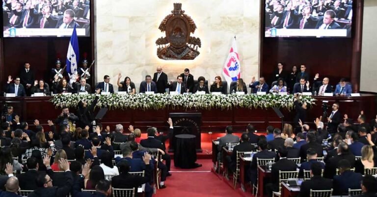 Congreso Nacional aprueba por unanimidad la venta del Avión Presidencial